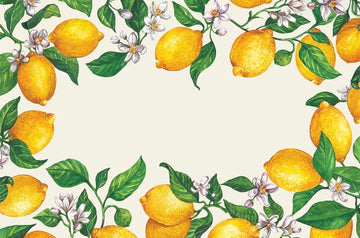 Lemonade Placemat