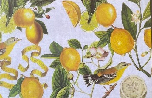 Lemonade Placemat